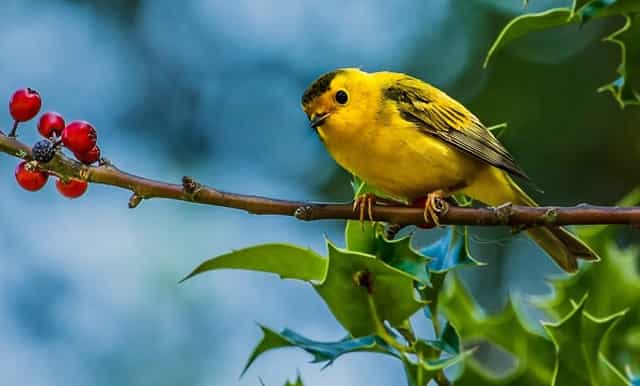 何:用画笔构建自己的寓言体系