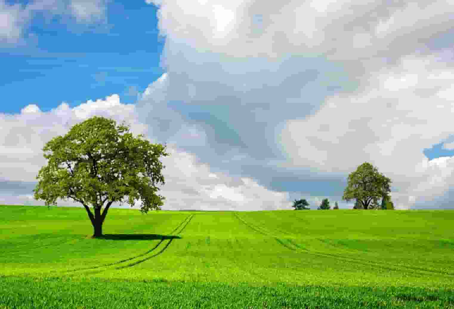 新浪官网、今日头条官网——国内仅有在个人手中的顶级域名