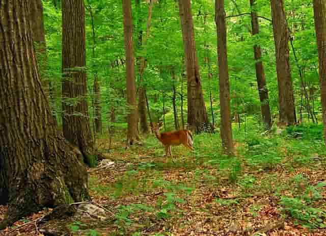广州男科医院平台——让患者放心的医护平台