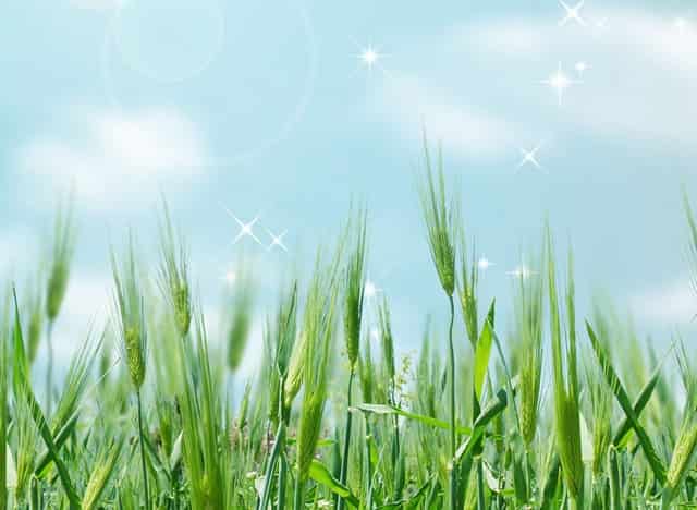 袖虎说下，新宠到家的七个注意事项！