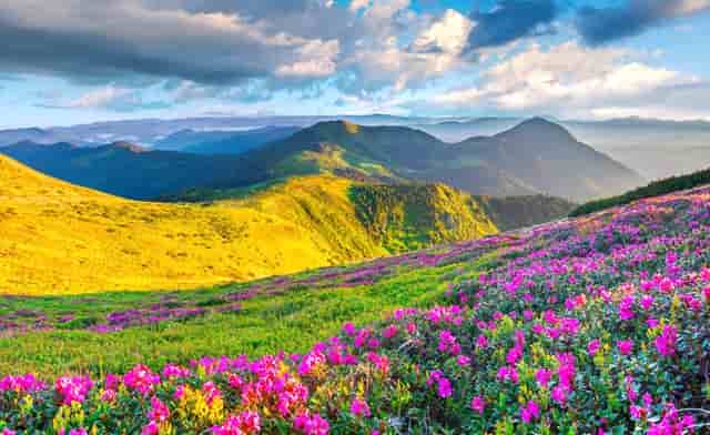 百年邮票看建党一百周年