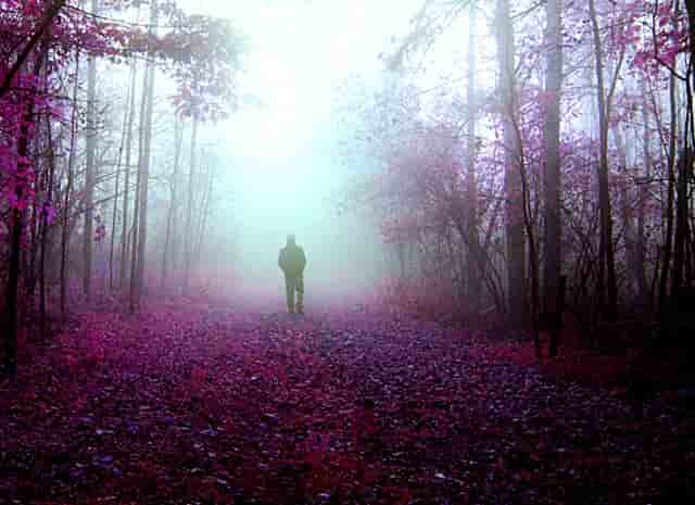 杜南书单:看看日本哲学家如何解读孔子