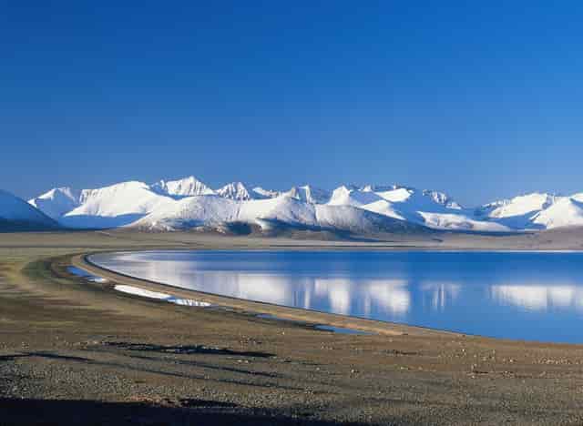 袖虎说，猫咪补充维生素可亮丽毛色！