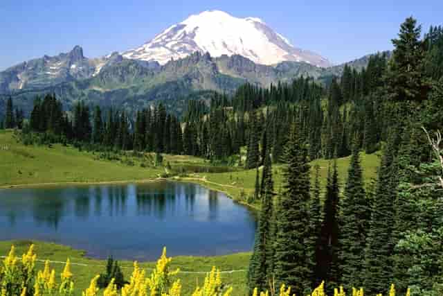 书名:《说集》第55期》于右任怀念童年生活 自己作诗