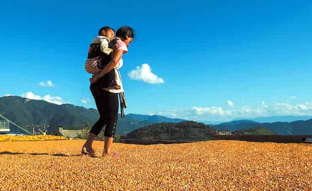 《觉醒年代》获得白玉兰奖 但文学史教材因为提到周作人而停刊