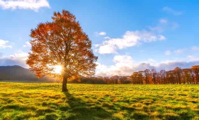 湖北、河南、安徽书法、美术、摄影邀请展在合肥开幕