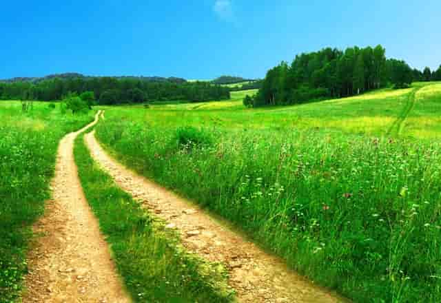 热门讨论|收藏中的长发如金丝猴？文物的日常维护需要细心！