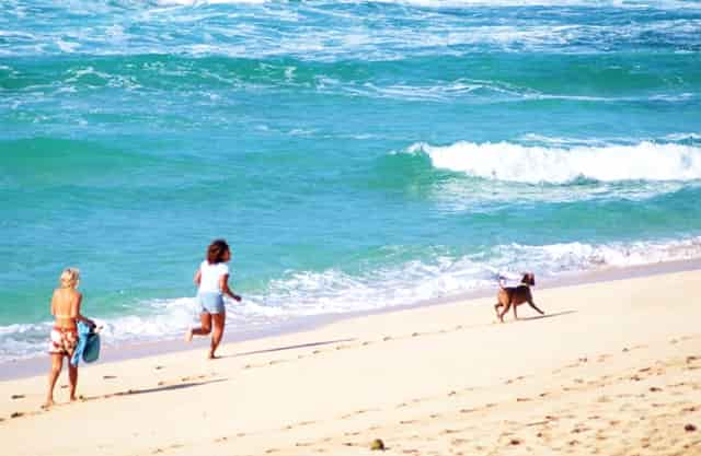 京都奈良大阪城堡.在这里阅读日本空间美学