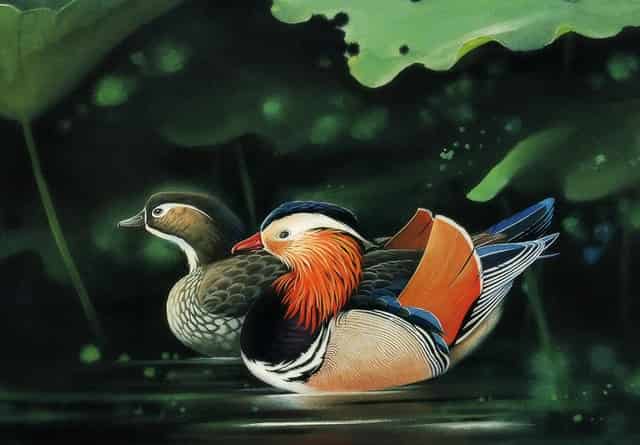 西比曼生物将出席第44届摩根大通医疗健康年会并参加圆桌论坛