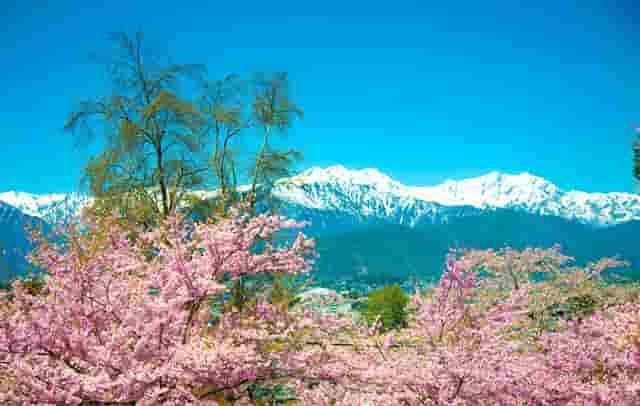 知乎携手京东、品牌商家，共创 11.11 家电家居消费指南