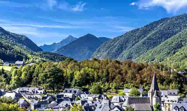 比亚迪上半年新车销量首进全球前十