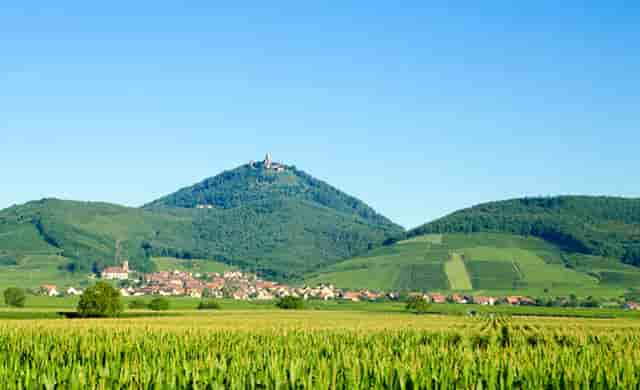 碧琮职业教育园在全国招募仅限200个有限合伙人