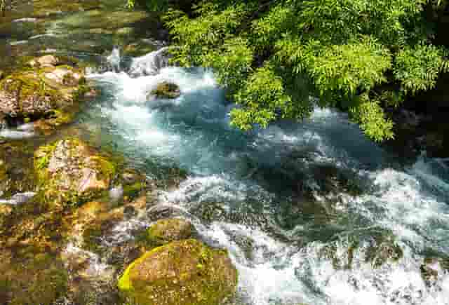 京东网络——最具投资价值域名